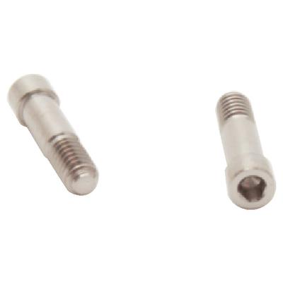 Abutment Screws – Astra Tech, 2 Pkg - Atos 4.5 5.0