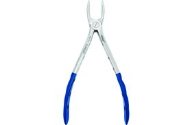 <table><colgroup><col></colgroup><tbody><tr><td>Pince d’extraction FRINGS – N° 150, universelle supérieure</td></tr></tbody></table>