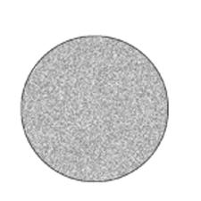 NTI® Sintered Diamond Discs – RA, Double Sided, Coarse, Green, # 5114, 8.00 mm Diameter, 0.50 mm Thickness, 1/Pkg