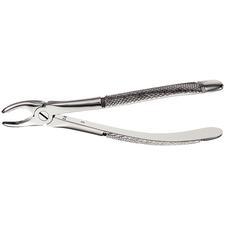 Extraction Forceps – 7, European Style, Serrated