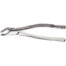 Extraction Forceps, 151 Apical