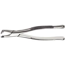 Extraction Forceps, 222 Apical