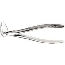 Extraction Forceps – 233, European Style, Serrated