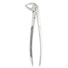 Extracting Forceps – # 33, English Pattern