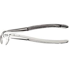 Extraction Forceps – 22, European Style, Serrated
