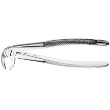 Extraction Forceps – 33, European Style, Serrated