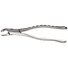 Extraction Forceps, 217