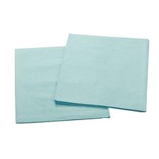 2-Ply Patient Drape Sheets, 100/Pkg