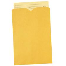 File Envelope, Passbook, 6" W x 9" H, 100/Box, 28 lb stock