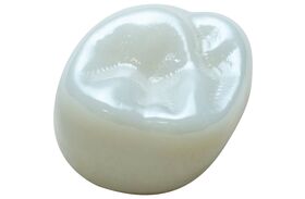 Acero Z1 Zirconia Primary Molar Crown – Second Molar, Upper Right, 1/Pkg