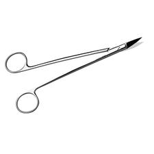 Dean Surgical Scissors