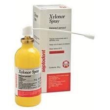 Xylonor Spray Tip, 1/Pkg
