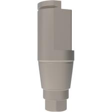 Accelx Scan Abutment