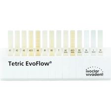 Tetric EvoFlow® Shade Guide