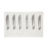 Carbon Steel Blades and Handle – Nonsterile, 6/Pkg - 21