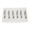 Carbon Steel Blades and Handle – Nonsterile, 6/Pkg - 23