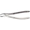 Extraction Forceps – 7, European Style, Serrated 