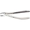 Extraction Forceps – 18, European Style, Serrated