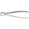 Extraction Forceps – 79, European Style, Serrated 