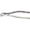 Extraction Forceps, 151 Apical 