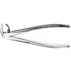 Extraction Forceps – MD3 Mead, Serrated 
