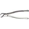 Extraction Forceps, 23 