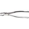 Extraction Forceps, 53R 