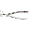 Extraction Forceps – 233, European Style, Serrated 