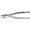 Extraction Forceps, 286