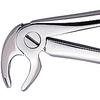 Patterson® Extracting Forceps – # FX13, Universal 