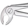 Patterson® Extracting Forceps – # FX22, Universal