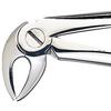 Patterson® Extracting Forceps – # FX33 