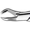 Patterson® Extracting Forceps – 53L 