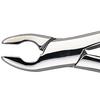Patterson® Extracting Forceps – # 150A 
