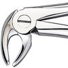 Patterson® Extracting Forceps – # MD3 