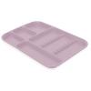 Set-Up Trays – Divided Trays, Size B, 9-5/8" x 7/8" x 13-1/2" - Light Mauve