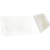 Coin X-Ray Envelopes – White, Size #1, 3-1/2" x 2-1/4", 500/Box - Coin X-ray Envelopes – White, Size #1, 3-1/2" x 2-1/4", 500/Box