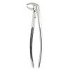 Extracting Forceps – # 22, English Pattern 