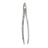 Extracting Forceps – # MD1, Universal 
