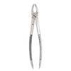 Extracting Forceps – # MD2, Universal 