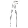 Extracting Forceps – # MD3, Universal 