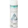 Asepti-Steryl® Aerosol Disinfectant, 15.5 oz Can