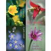 Floral Assortment Pack 4-Up Laser Postcard, 4-1/4" W x 5-1/2" H, 100/Pkg