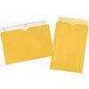 File Envelopes , 9" W x 6" H, 100/Box