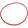 Chemiclave Door Gaskets - EC5500, EM5500 and Aquaclave 20