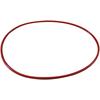 Chemiclave Door Gaskets - EC5000, EM5000 and Aquaclave 10