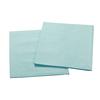 2-Ply Patient Drape Sheets, 100/Pkg - Blue, 48" W x 40" L