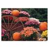 Fall Personalized Postcards, 100/Pkg
