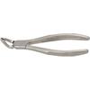 Grip Deep™ Extracting Forceps – # 151, Universal, Lower Incisors, Cuspids, Bicuspids, Roots