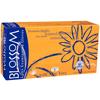 Blossom® Latex Exam Gloves with Aloe Vera and Vitamin E – Powder Free, 100/Box - Large